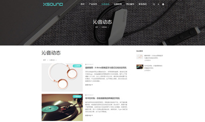 iBrandResponsive黑白簡(jiǎn)潔響應(yīng)式產(chǎn)品展示企業(yè)網(wǎng)站定制